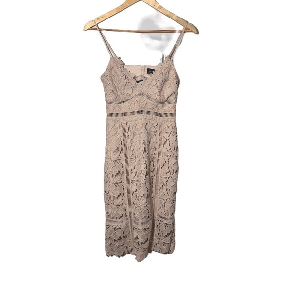 BARDOT Botanica Lace Bodycon Dress Size XS Feminine Wedding Guest Cocktail Dress - Picture 2 of 13